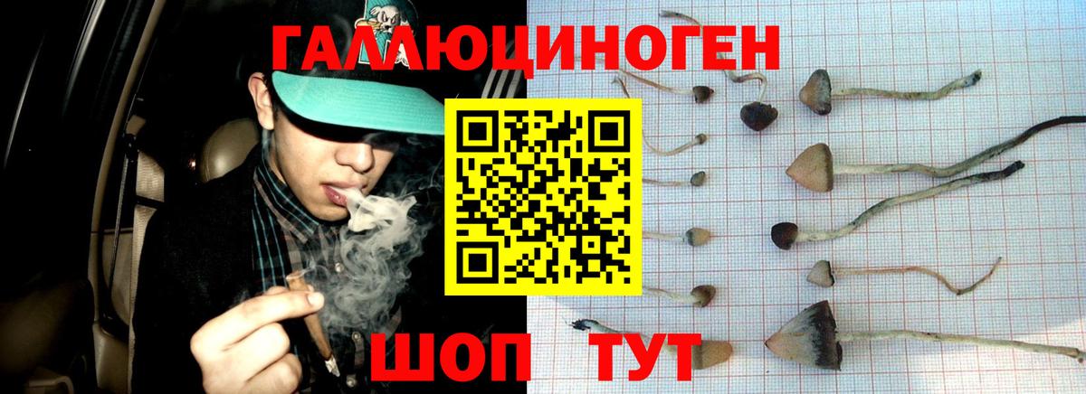 Псилоцибиновые грибы Psilocybine cubensis  Вход с VPN  Псилоцибиновые грибы Psilocybe  Ефремов 
